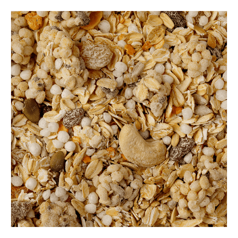 Holland & Barrett Gut Health Cereal 300g